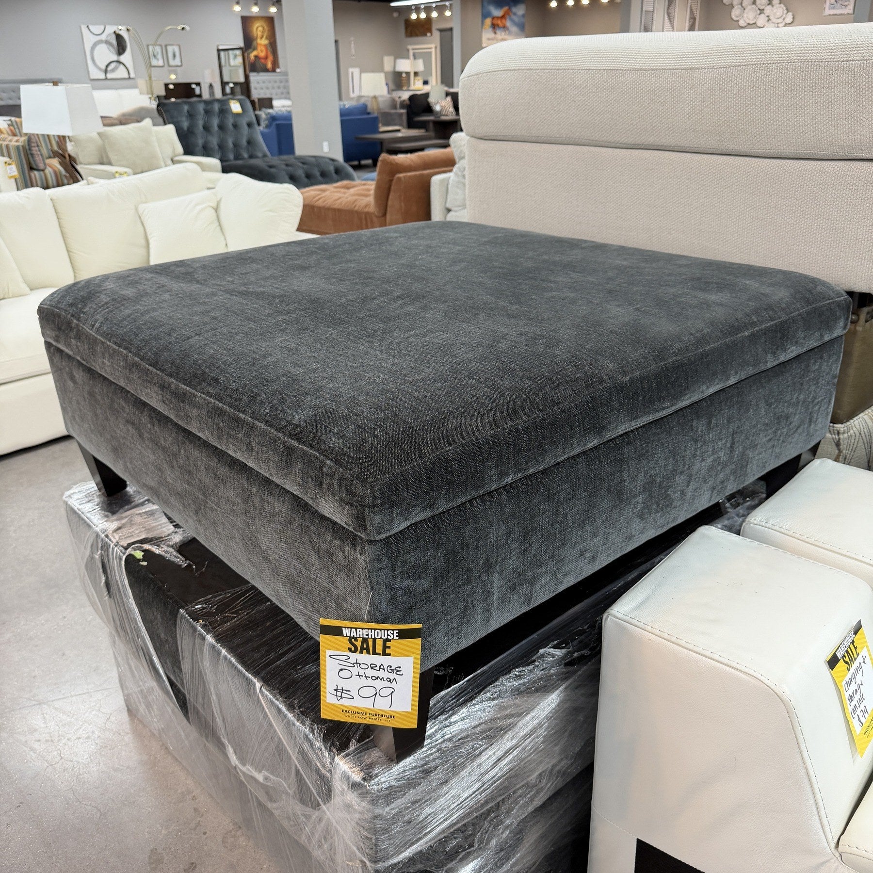 Onyx Shimmer Storage Ottomon